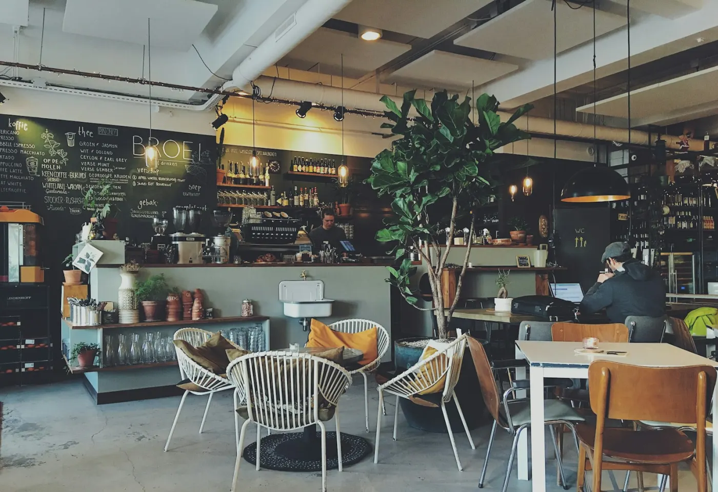 A bright café with a long counter, plants and timber seating